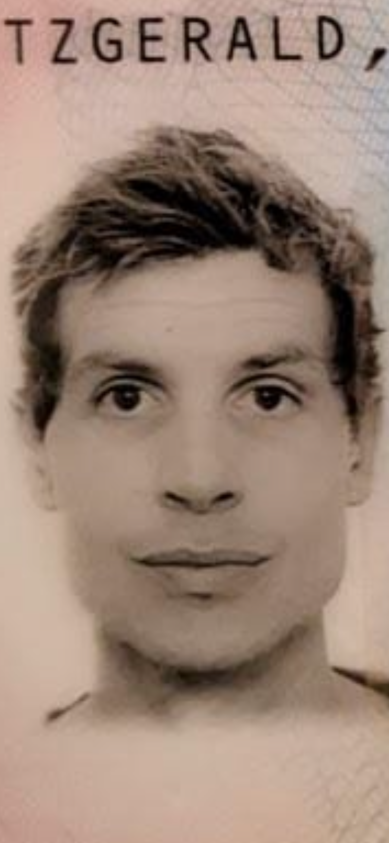 Fitzgerald David James